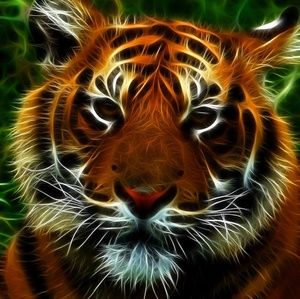 Meet your Posher, Rudolph